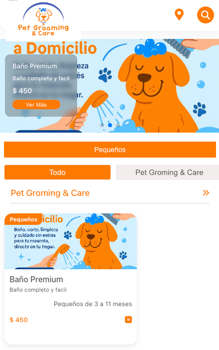 Selección de servicio app